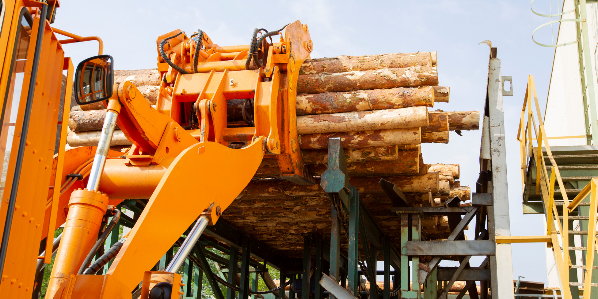 Machine Safety Wood Industry NZ TEG Risk