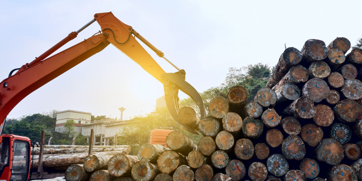 Machine Safety Wood Processing Logging TEG Risk
