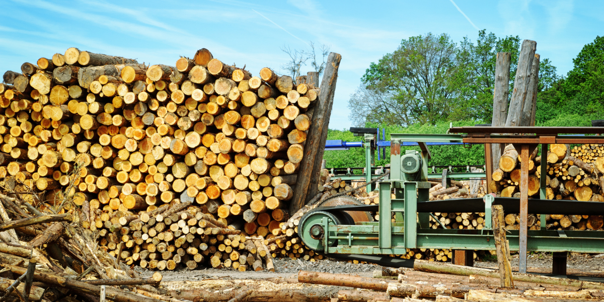 Machine Safety Wood Processing TEG Risk